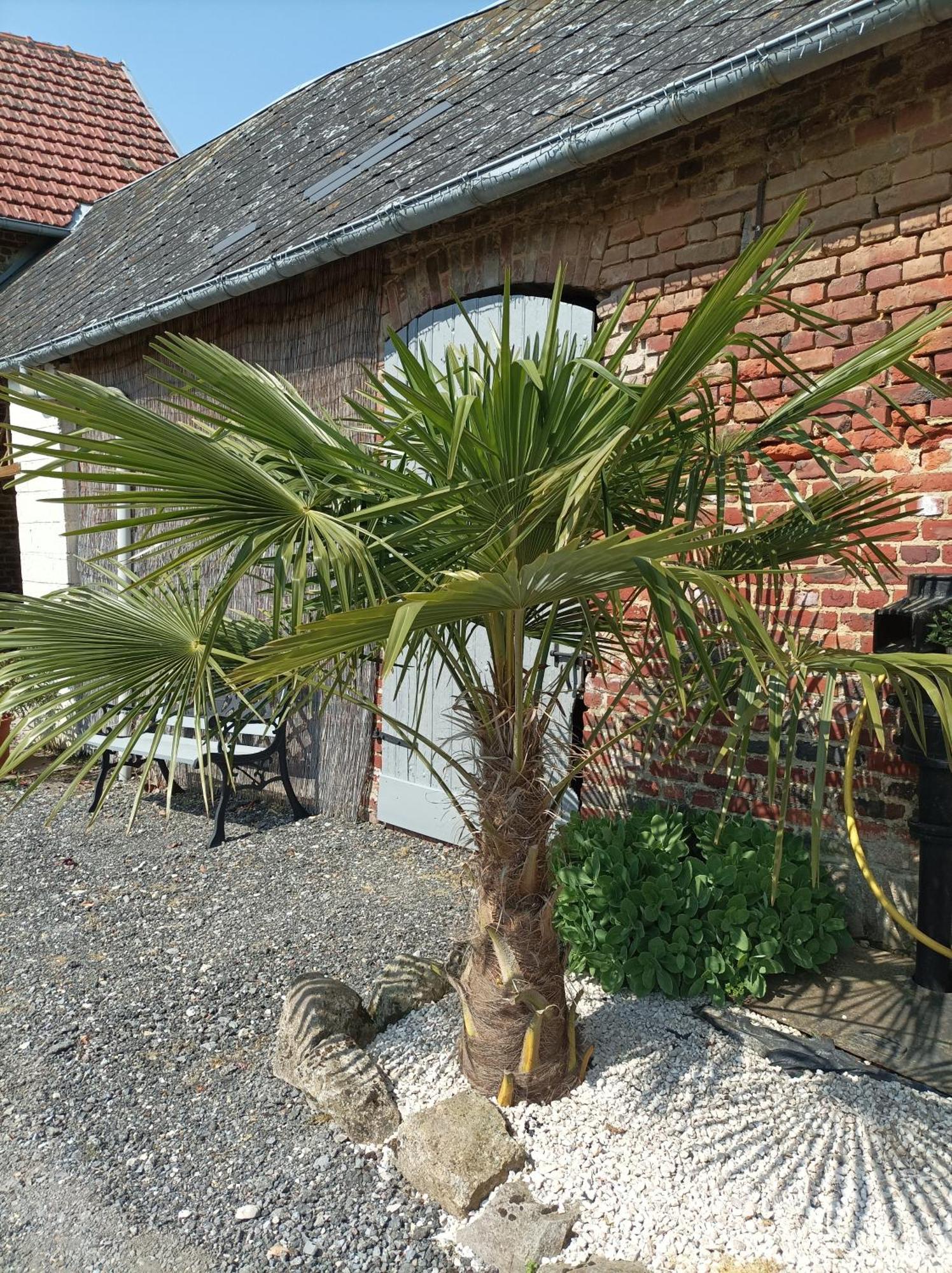 Bed and Breakfast Les Muches Bouzincourt Zewnętrze zdjęcie